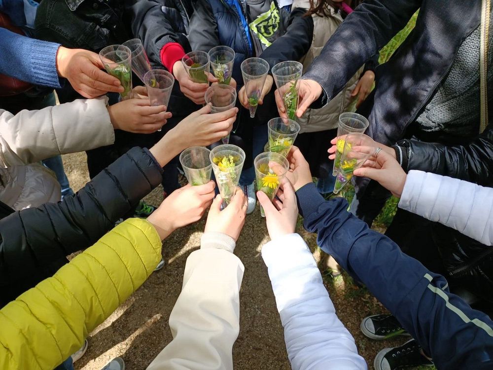Gruppo di persone che reggono bicchieri di plastica con fiori e foglie, probabilmente durante un'attività all'aperto.