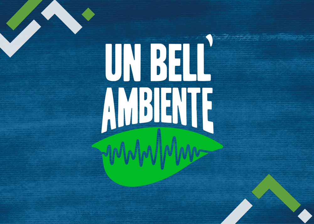 Sfondo blu con il testo 'un bell'ambiente' e un simbolo verde a forma di foglia con linee ondulate al suo interno.