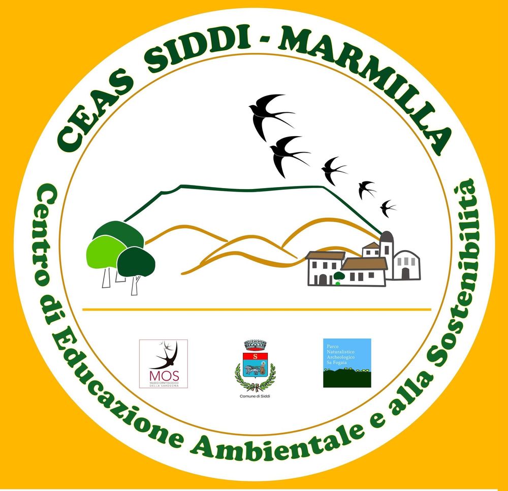 Copertina Ceas Aperti del Ceas di Siddi