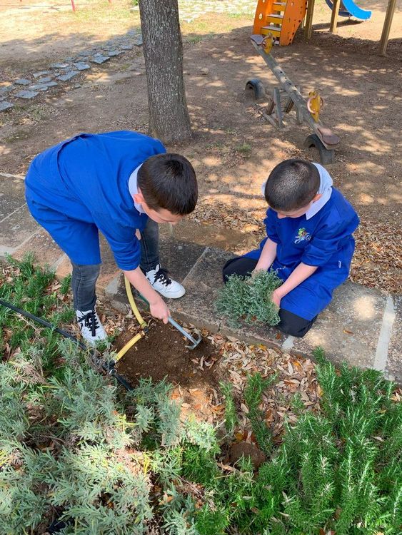 Due ragazzi in divisa blu lavorano insieme per piantare un cespuglio nel terreno.