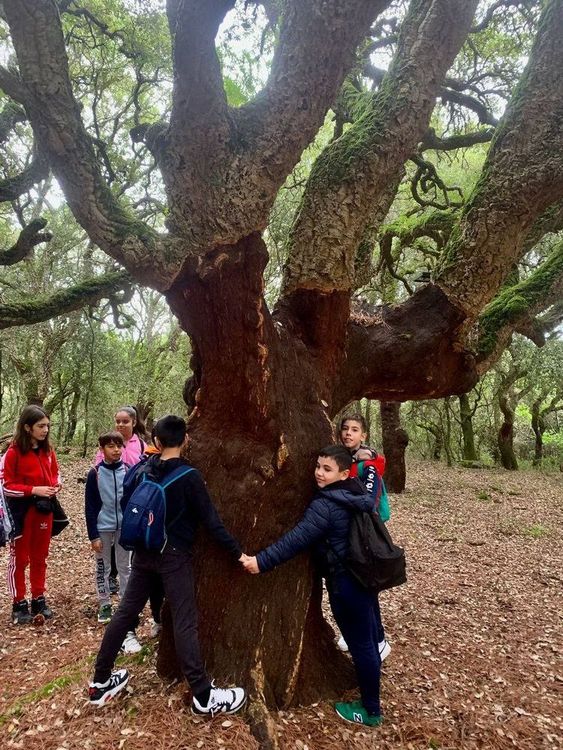 Un gruppo di bambini abbraccia il tronco di un grande albero in un bosco, con foglie e rami coperti di muschio, in un'atmosfera suggestiva e naturalis