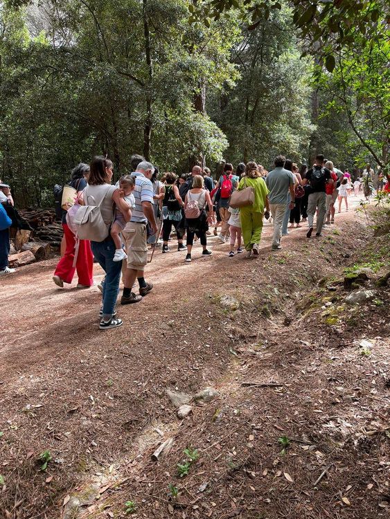 Un gruppo di persone di varie età cammina su un sentiero sterrato in un bosco, con alberi e fogliame sullo sfondo.