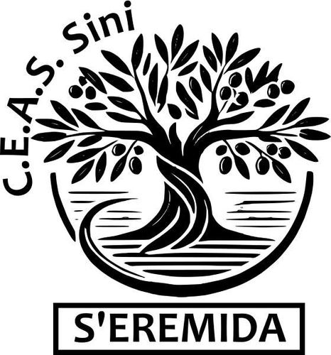 Copertina Ceas Aperti del Ceas di Sini
