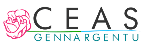 Logo CEAS Gennargentu, con una rosa rosa a sinistra e il testo colorato